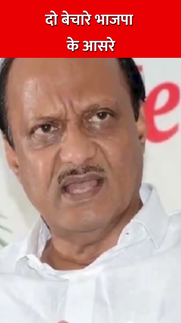 दो बेचारे भाजपा के आसरे #shila #sharadpawar #ncp